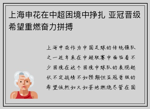 上海申花在中超困境中挣扎 亚冠晋级希望重燃奋力拼搏